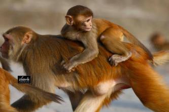 10321655_1000349126694917_3958369358747313087_o