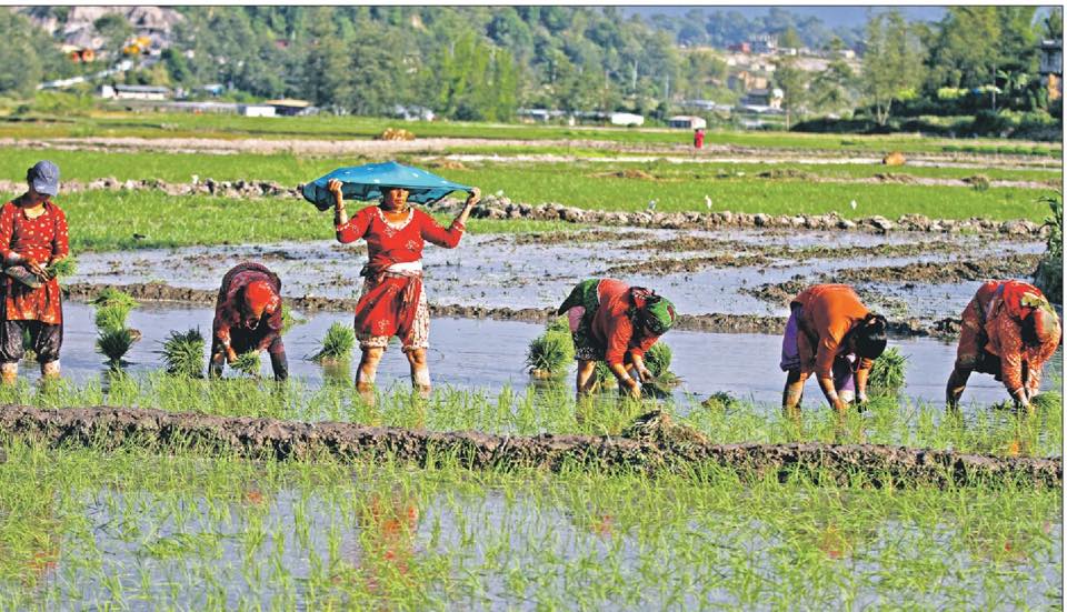 11401081_913790945350736_2839030792096290125_n